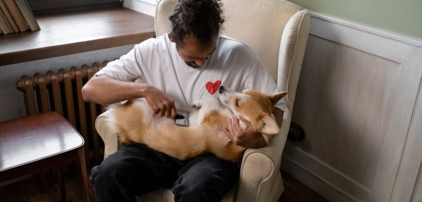 Calm brushing for reactive pets