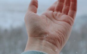 Why does my cat have raised skin bumps