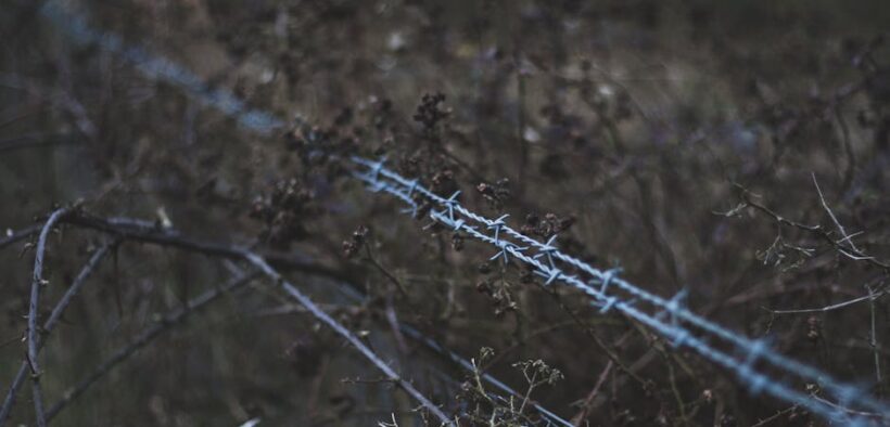 Why vets limit unnecessary prescriptions