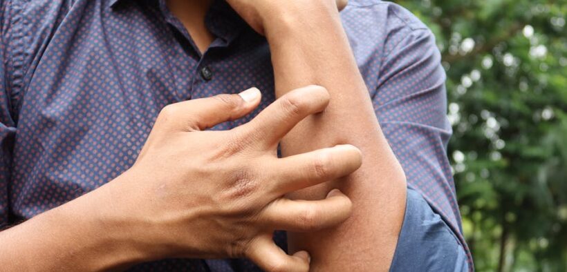 Can my cat have skin problems without itching