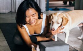 Can indoor air affect pet skin health