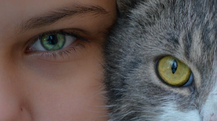 Sharing human antibiotics with pets risks