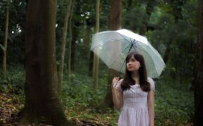 Why does my cat have skin irritation after rain