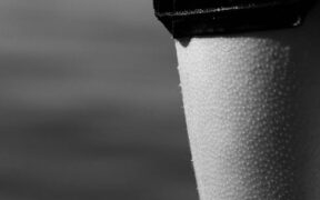 Can my dog have skin sensitivity to cold weather