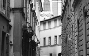 Signs a cat may be in pain