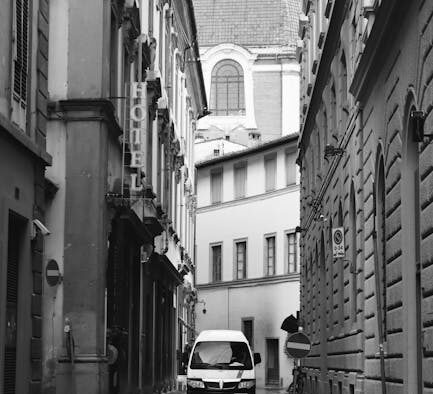 Signs a cat may be in pain