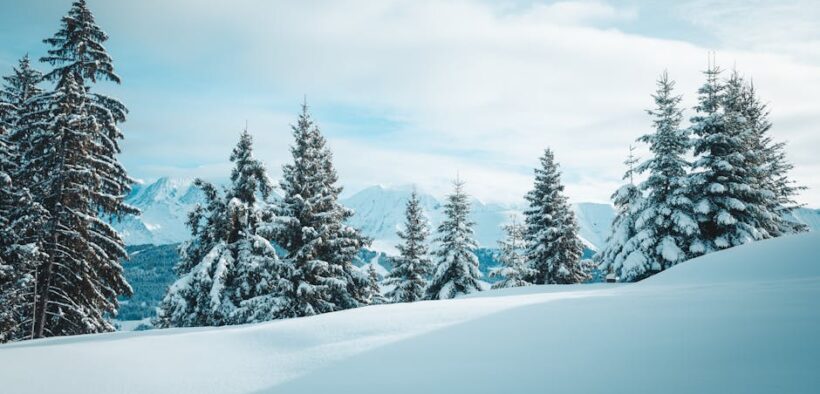 Can my dog have skin inflammation from arthritis