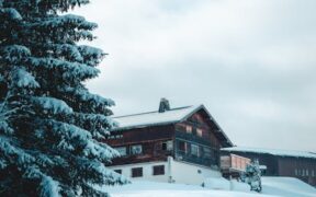 Can my dog have seasonal skin allergies