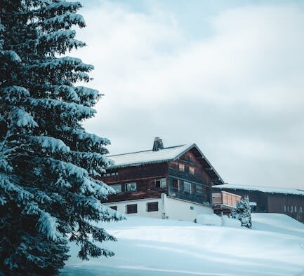 Can my dog have seasonal skin allergies