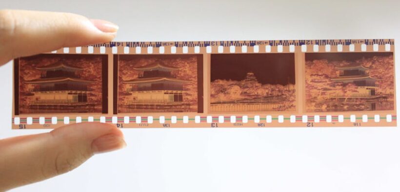 Can puppies develop skin rashes suddenly