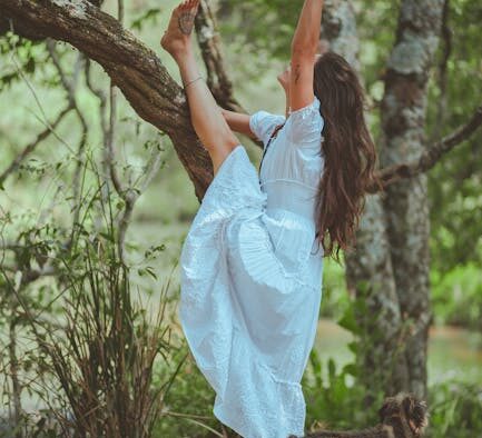 Antibiotics and long term pet wellbeing