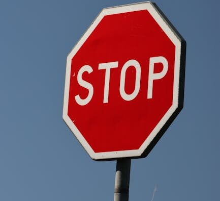 Why vets may stop antibiotics early or extend them