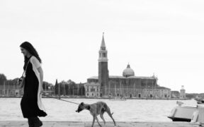 Why pets may act differently during illness