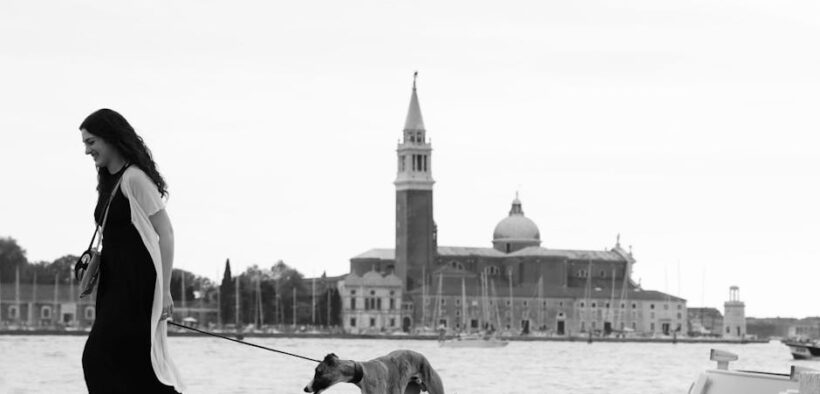 Why pets may act differently during illness