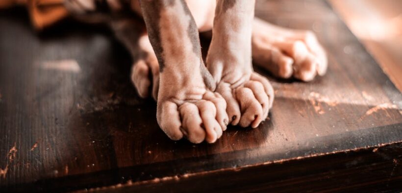 Can my cat have skin infections that keep returning