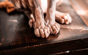 Can skin bumps appear overnight in cats