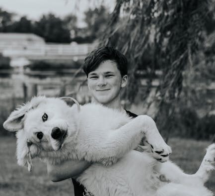 Why antibiotics are not always needed for pets