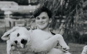 Pain combined with weakness in pets