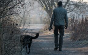 Stopping antibiotics early risks for pets