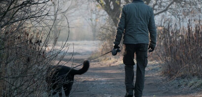 Stopping antibiotics early risks for pets