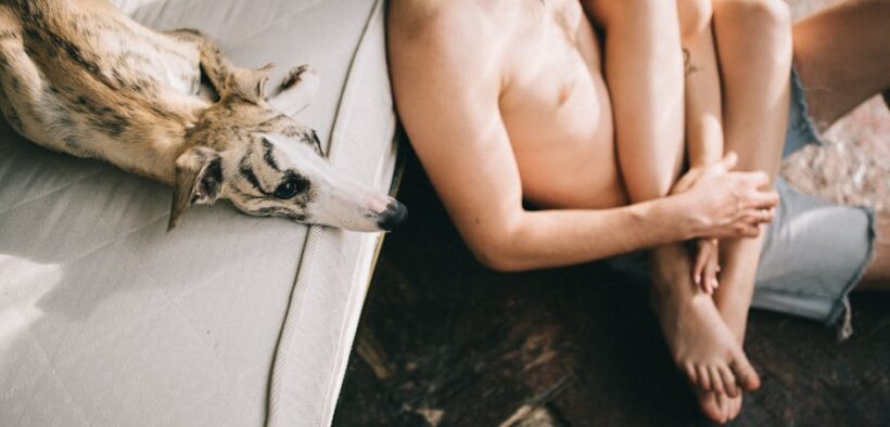 Can my dog have ear and skin issues together