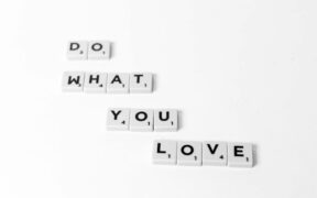 What to do if my cat vomits parasite medication