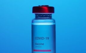 Role of lab tests in antibiotic decisions for pets