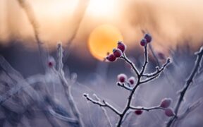 Can weather changes trigger skin flare ups