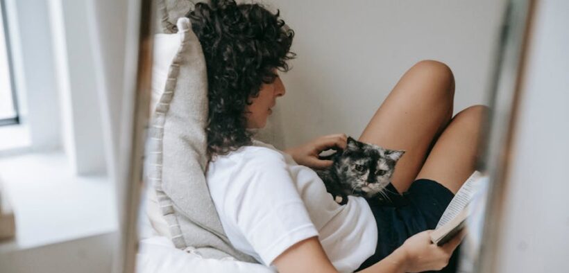 Antibiotics and pet owner education