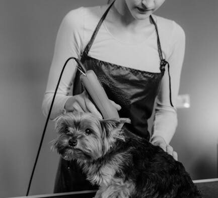 Why pets may groom less when in pain