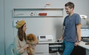 What pet owners should observe during pain treatment