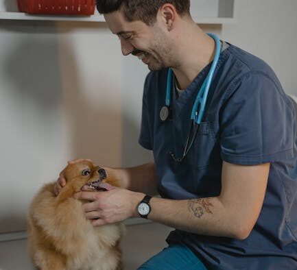 Can parasite medication interact with other dog medications