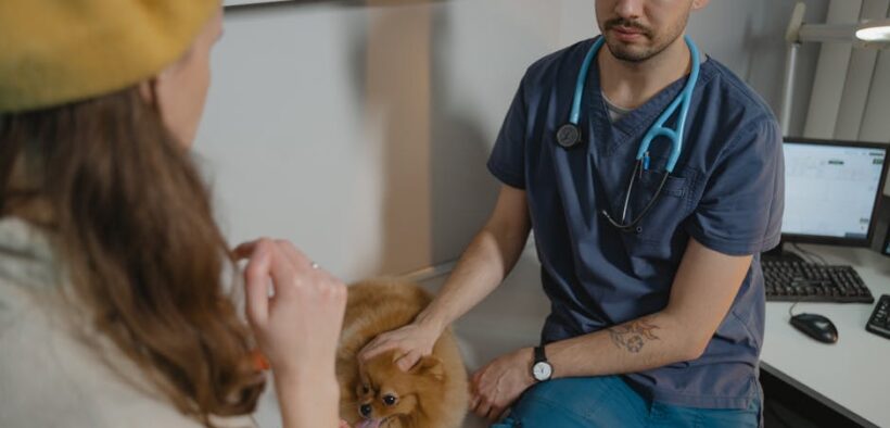 Communicating concerns to your veterinarian