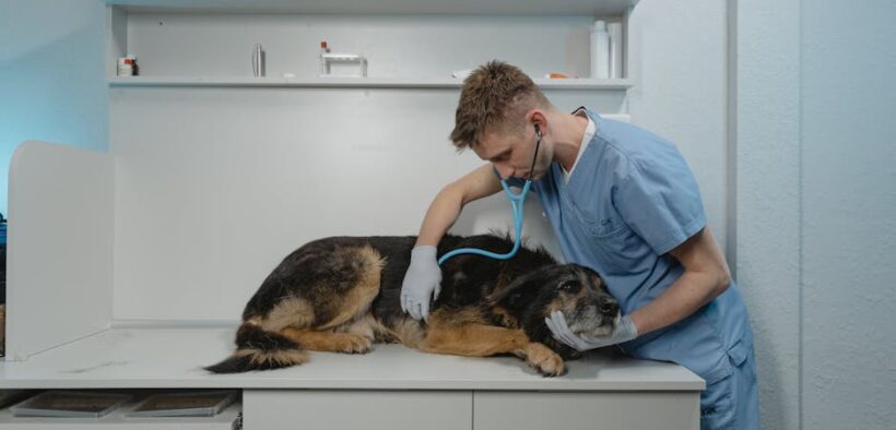 Skipping doses of pet medications explained