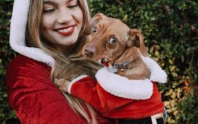 What allergic swelling looks like in pets