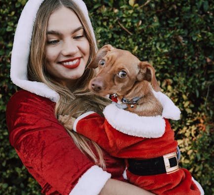 What allergic swelling looks like in pets