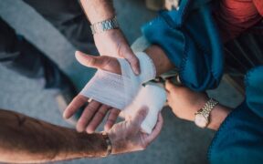 Pain relief and medication safety in pets