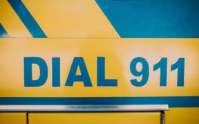 Why urgent cases still require vet guidance