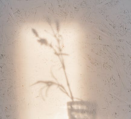 Can skin sensitivity signal deeper problems