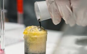 Can parasite medication trigger vomiting foam