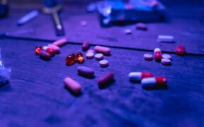 Self medicating pets with antibiotics risks