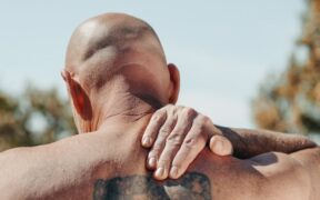 Can sun exposure cause skin sores in pets