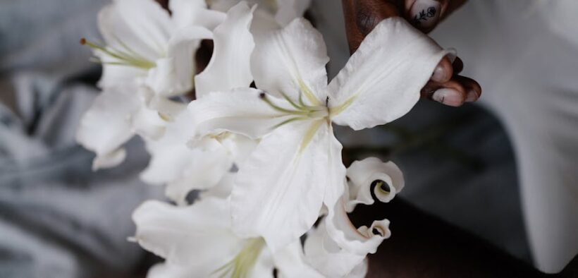 Why does my cat smell bad from skin