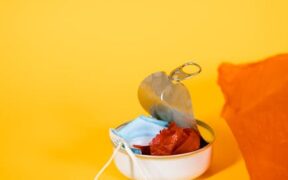 Can food changes affect cat skin health