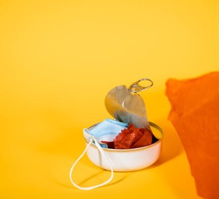 Can food changes affect cat skin health