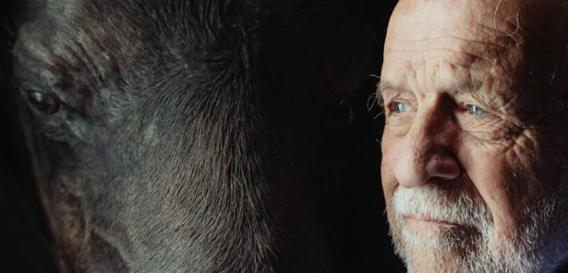 Why eye problems require urgent evaluation