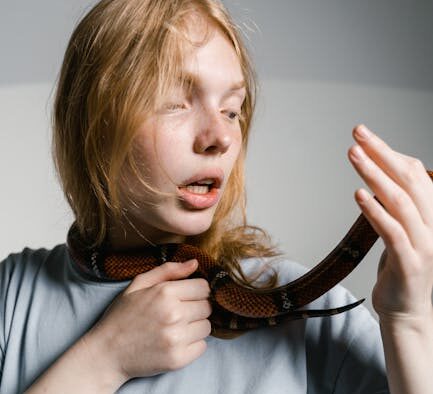 Can surgical stress affect pet skin