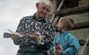 How age affects pain management in pets