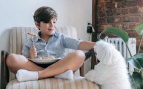 Giving antibiotics to another pet risks