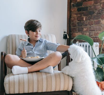 Giving antibiotics to another pet risks